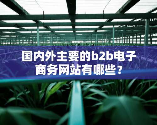 国内外主要的b2b电子商务网站有哪些？