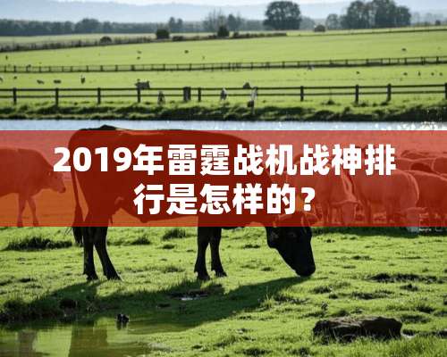 2019年**战机战神排行是怎样的？