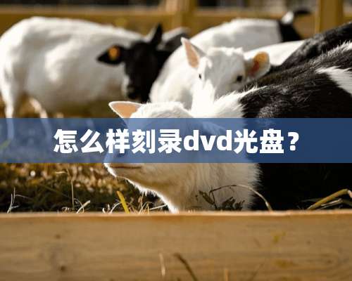 怎么样刻录dvd光盘？