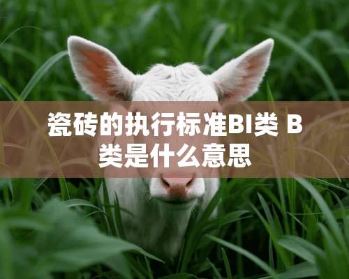 瓷砖的执行标准BI类 B类是什么意思