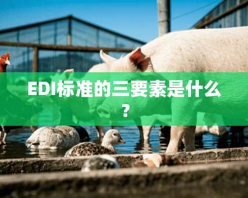 EDI标准的三要素是什么？