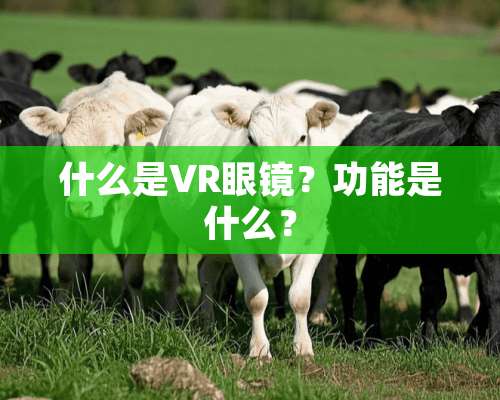 什么是VR眼镜？功能是什么？