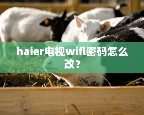 haier电视wifl密码怎么改？