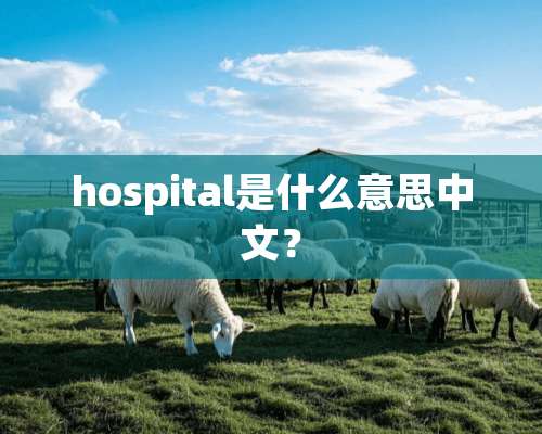 hospital是什么意思中文？