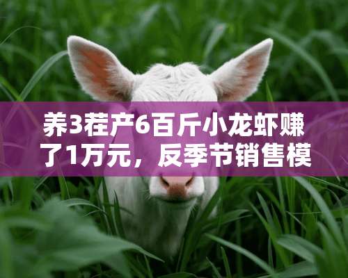 养3茬产6百斤小龙虾赚了1万元，反季节销售模式有多牛？