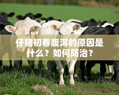 仔猪初春腹泻的原因是什么？如何防治？