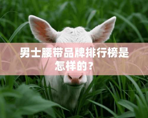 男士腰带品牌排行榜是怎样的？