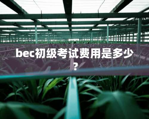 bec初级考试费用是多少？