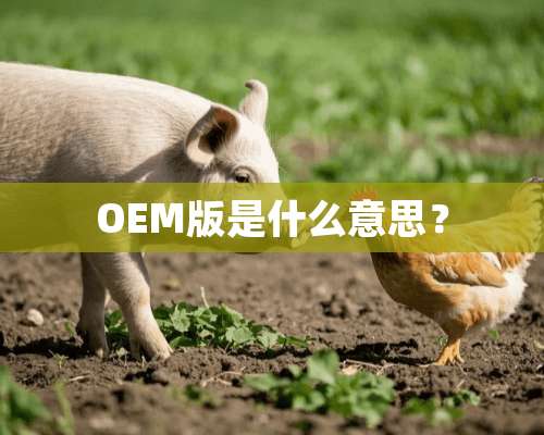 OEM版是什么意思？