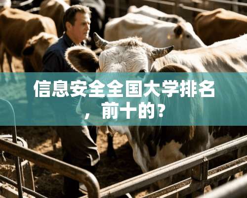 信息安全全国大学排名，前十的？