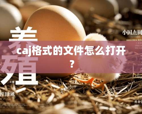 caj格式的文件怎么打开？