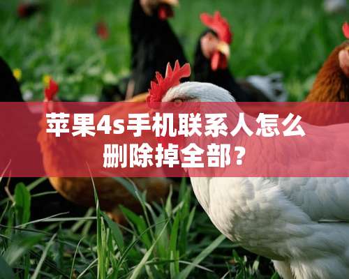 苹果4s手机联系人怎么删除掉全部？