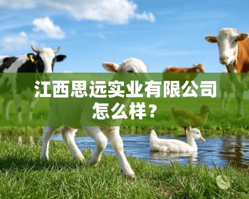 江西思远实业有限公司怎么样？