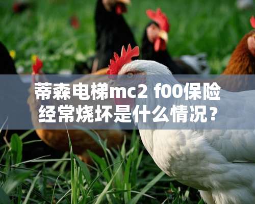 蒂森电梯mc2 f00保险经常烧坏是什么情况？