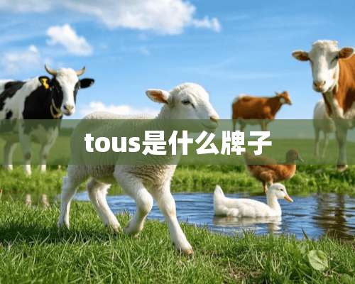 tous是什么牌子