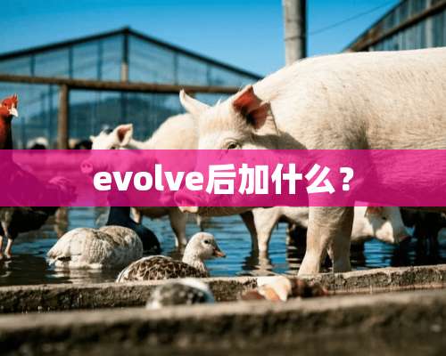 evolve后加什么？