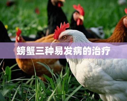 螃蟹三种易发病的治疗