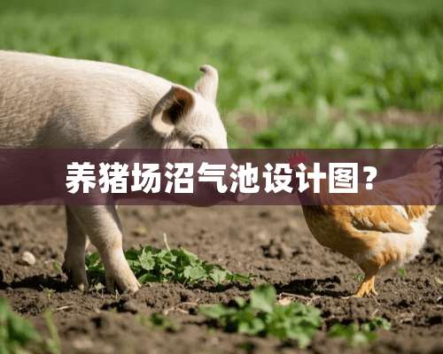 养猪场沼气池设计图？