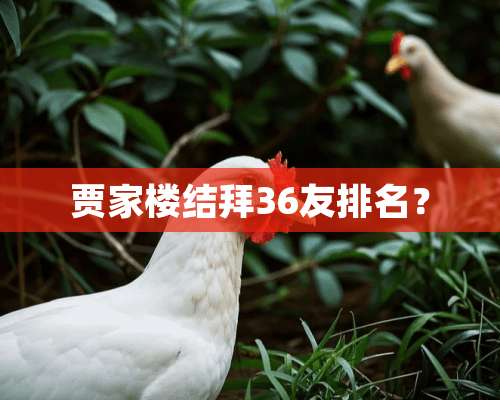 贾家楼结拜36友排名？