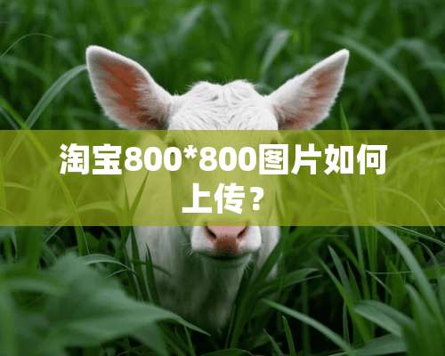 淘宝800*800图片如何上传？