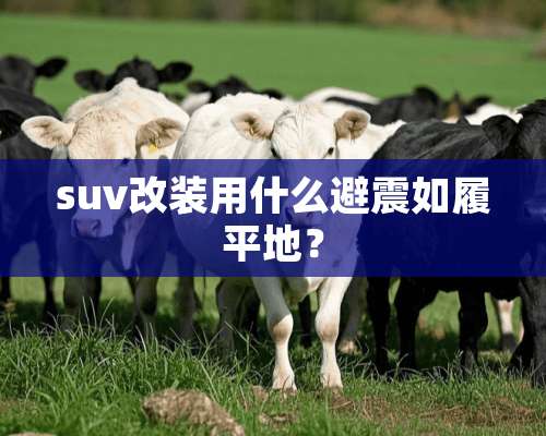 suv改装用什么避震如履平地？