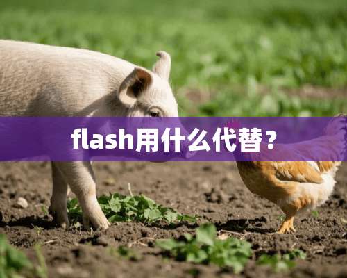 flash用什么代替？