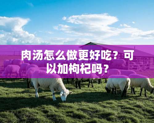 肉汤怎么做更好吃？可以加枸杞吗？