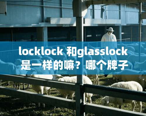 locklock 和glasslock 是一样的嘛？哪个牌子比较好一点？