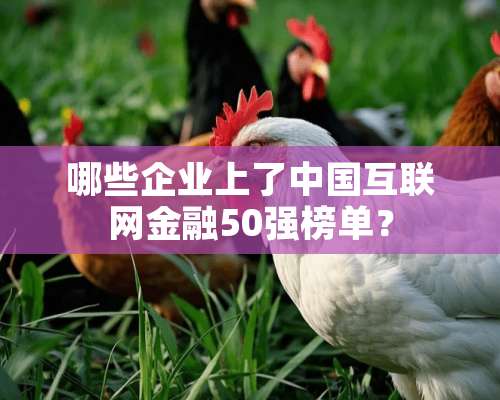 哪些企业上了中国互联网金融50强榜单？