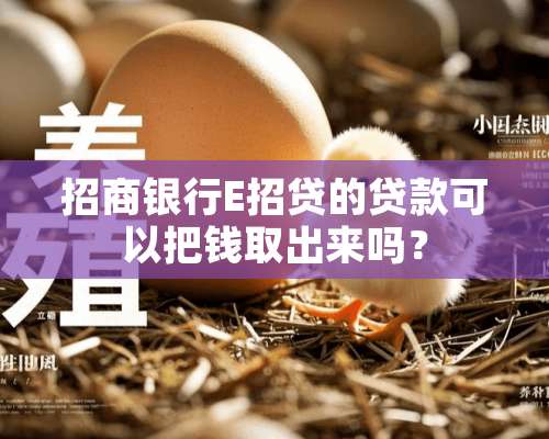 招商银行E招贷的贷款可以把钱取出来吗？