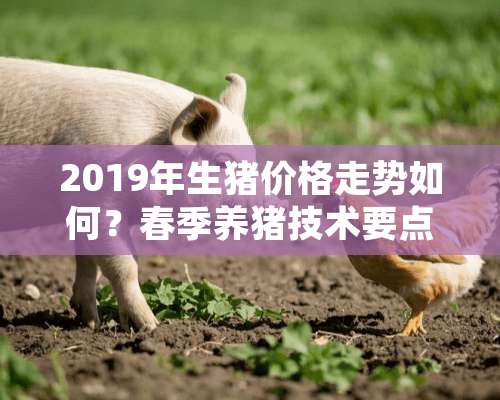 2019年生猪价格走势如何？春季养猪技术要点有哪