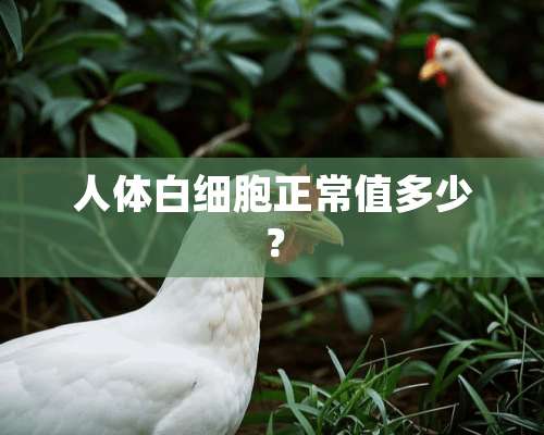 人体白细胞正常值多少？