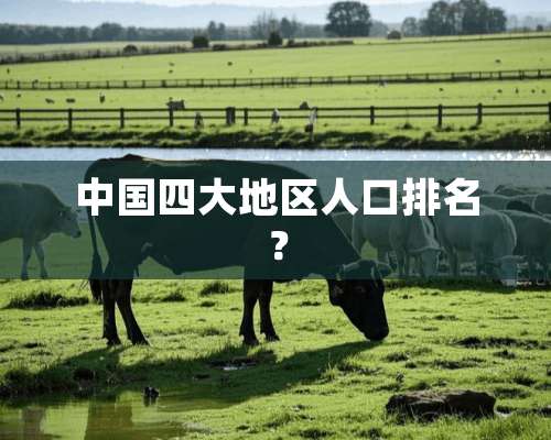 中国四大地区人口排名？