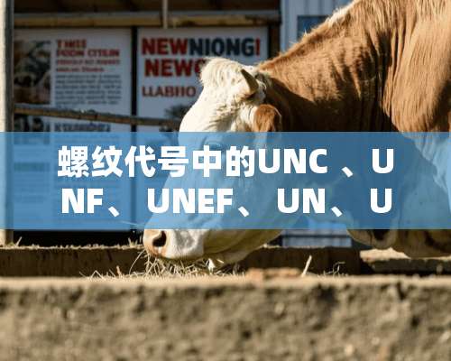 螺纹代号中的UNC 、UNF、 UNEF、 UN、 UNS有什么区别？