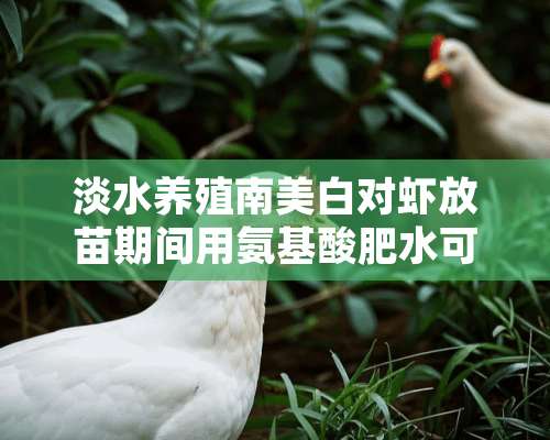 淡水养殖南美白对虾放苗期间用氨基酸肥水可以吗？