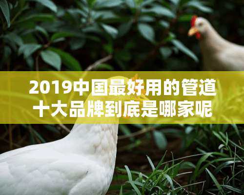 2019中国最好用的管道十大品牌到底是哪家呢？