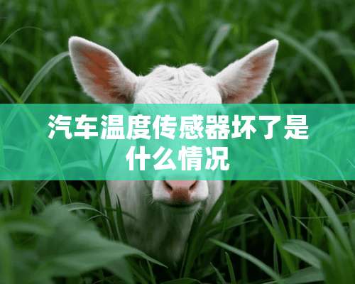 汽车温度传感器坏了是什么情况