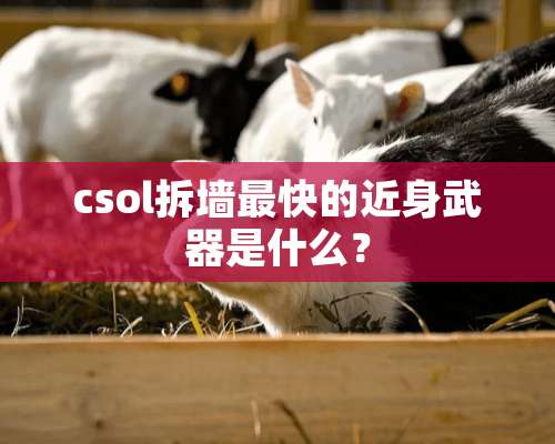 csol拆墙最快的近身**是什么？