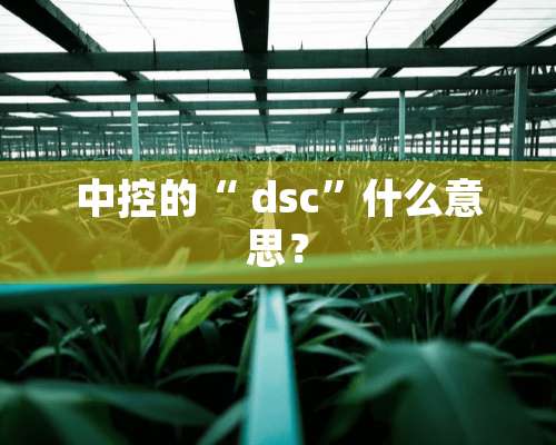 中控的“ dsc”什么意思？