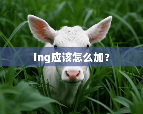 Ing应该怎么加？