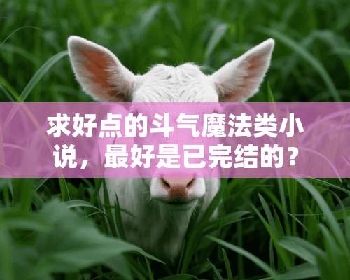 求好点的斗气魔法类小说，最好是已完结的？