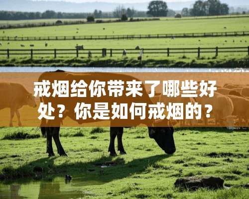 戒烟给你带来了哪些好处？你是如何戒烟的？