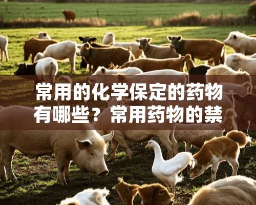 常用的化学保定的药物有哪些？常用药物的禁忌及注意事项是什么？