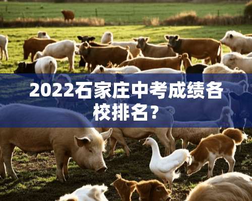 2022石家庄中考成绩各校排名？