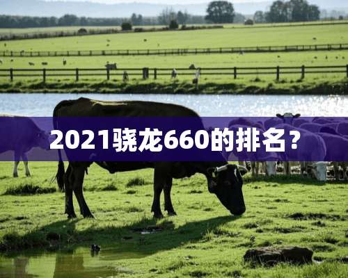 2021骁龙660的排名？