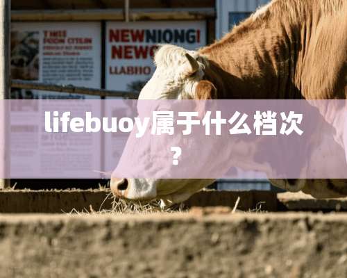 lifebuoy属于什么档次？