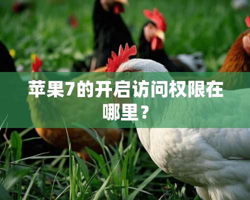 苹果7的开启访问权限在哪里？