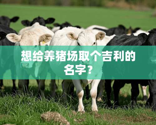 想给养猪场取个吉利的名字？