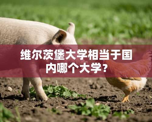 维尔茨堡大学相当于国内哪个大学？