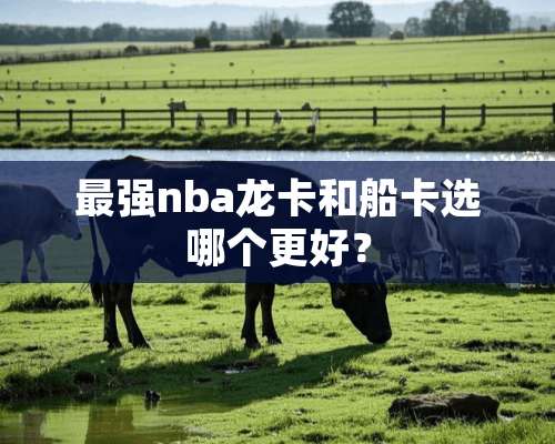 最强nba龙卡和船卡选哪个更好？